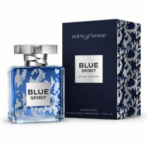 Blue Spirit Eau de Parfum 100ml for Men